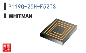 P119G-25H-F52TS ͼƬ